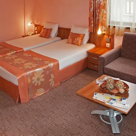 里尔酒店 酒店 3*