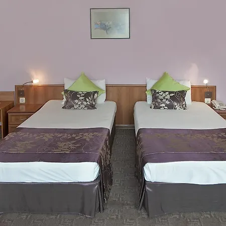 里尔酒店 3* 普罗夫迪夫